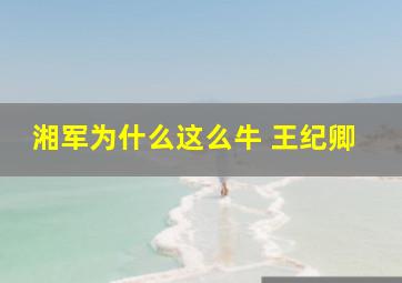 湘军为什么这么牛 王纪卿